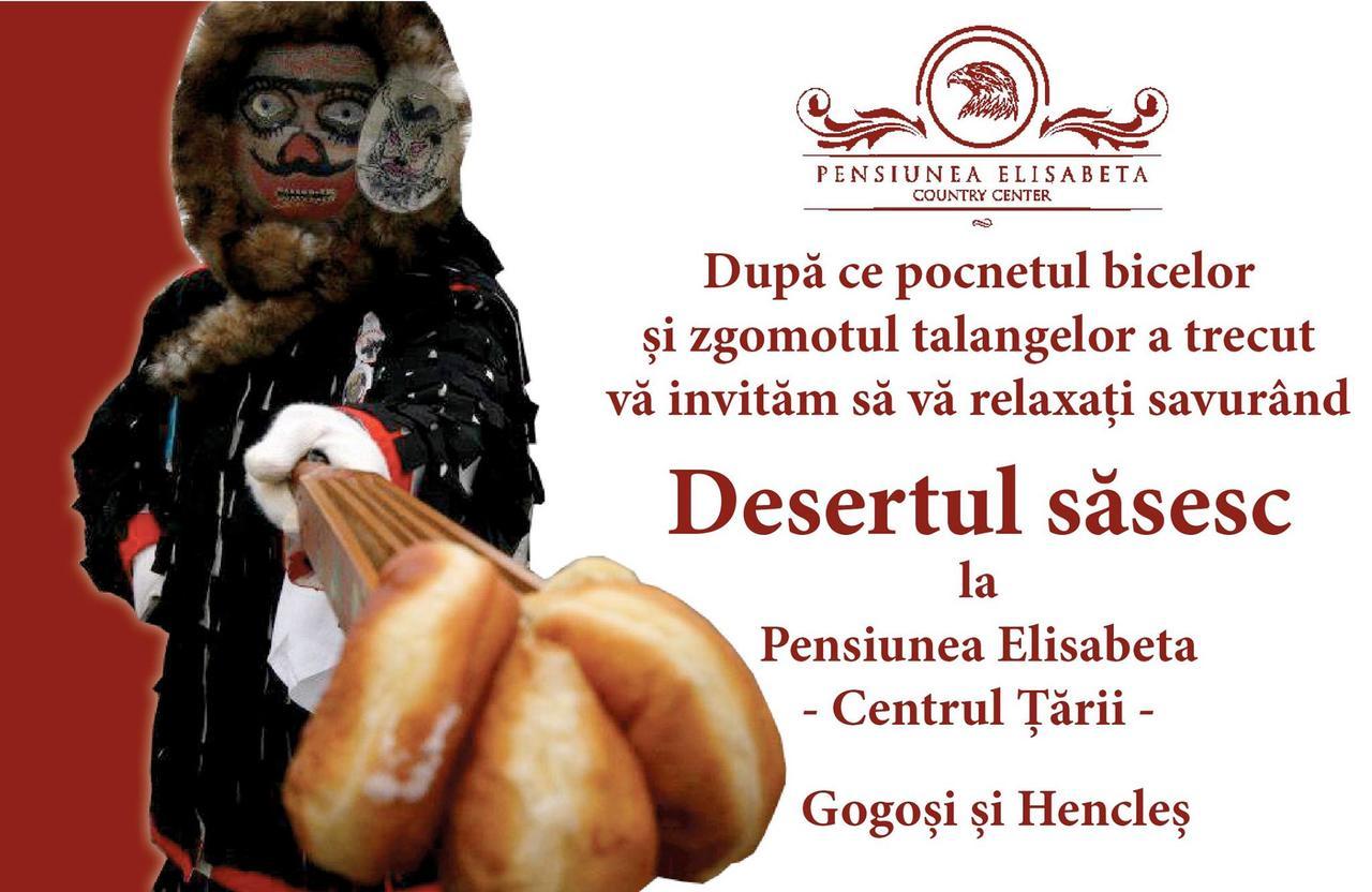 Pensiunea Elisabeta Merghindeal Esterno foto