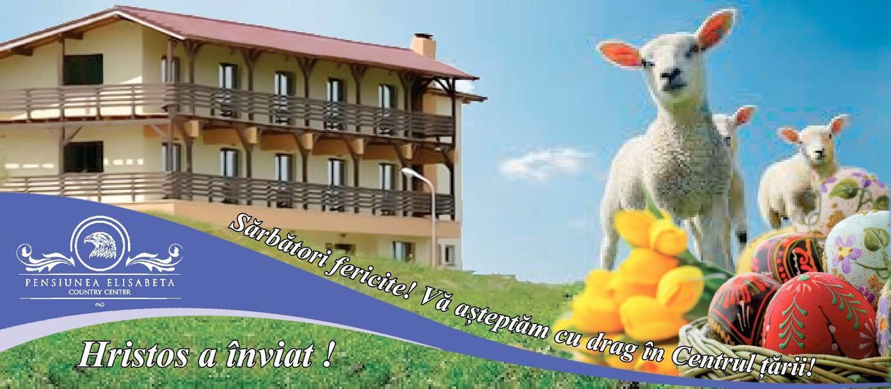 Pensiunea Elisabeta Merghindeal Esterno foto